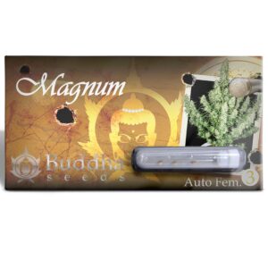 Magnum Auto 3+1 [Buddha Seeds]