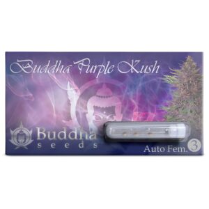 Purple Kush Auto 3+1 [Buddha Seeds]