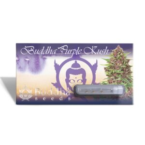 Purple Kush 3+1 [Buddha Seeds]