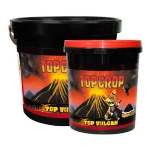 Top Vulcan