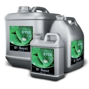 B1 Boost