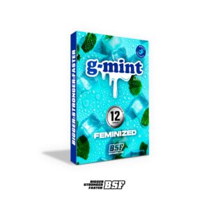 G-mint [BSF]
