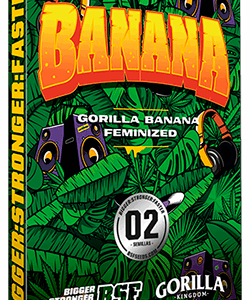 Gorilla Banana [BSF]