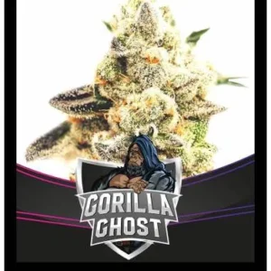 Gorilla Ghost [BSF]