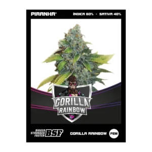 Gorilla Rainbows [BSF]