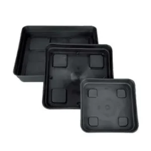 Platos de Plástico