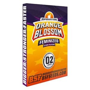 Orange Blossom [BSF]