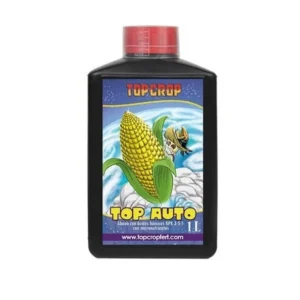 Top Auto