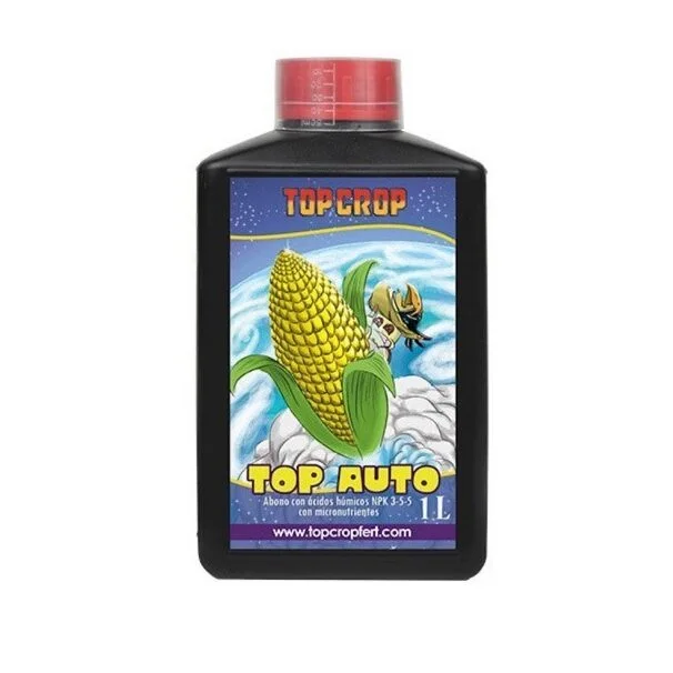 Top Auto