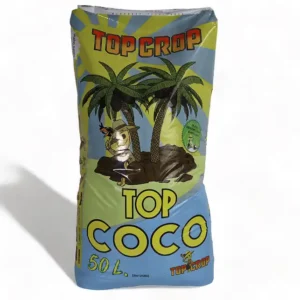 Top Coco
