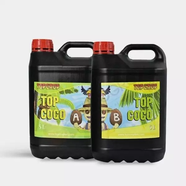 Top Coco A+B